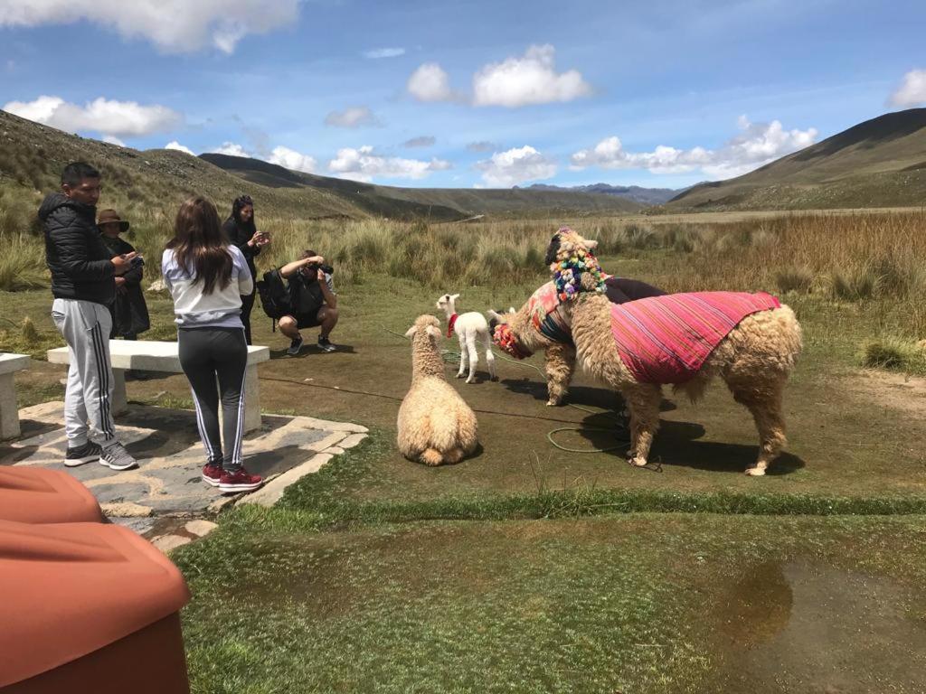 Amazing Huaraz Bed & Breakfast Exterior photo