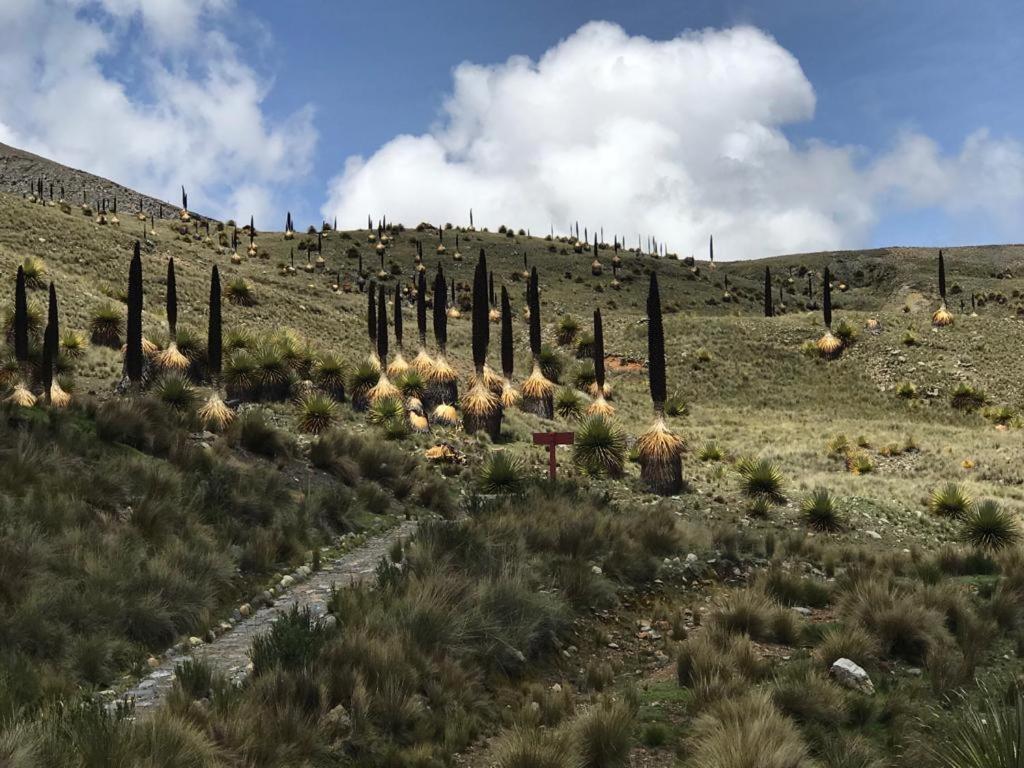 Amazing Huaraz Bed & Breakfast Exterior photo