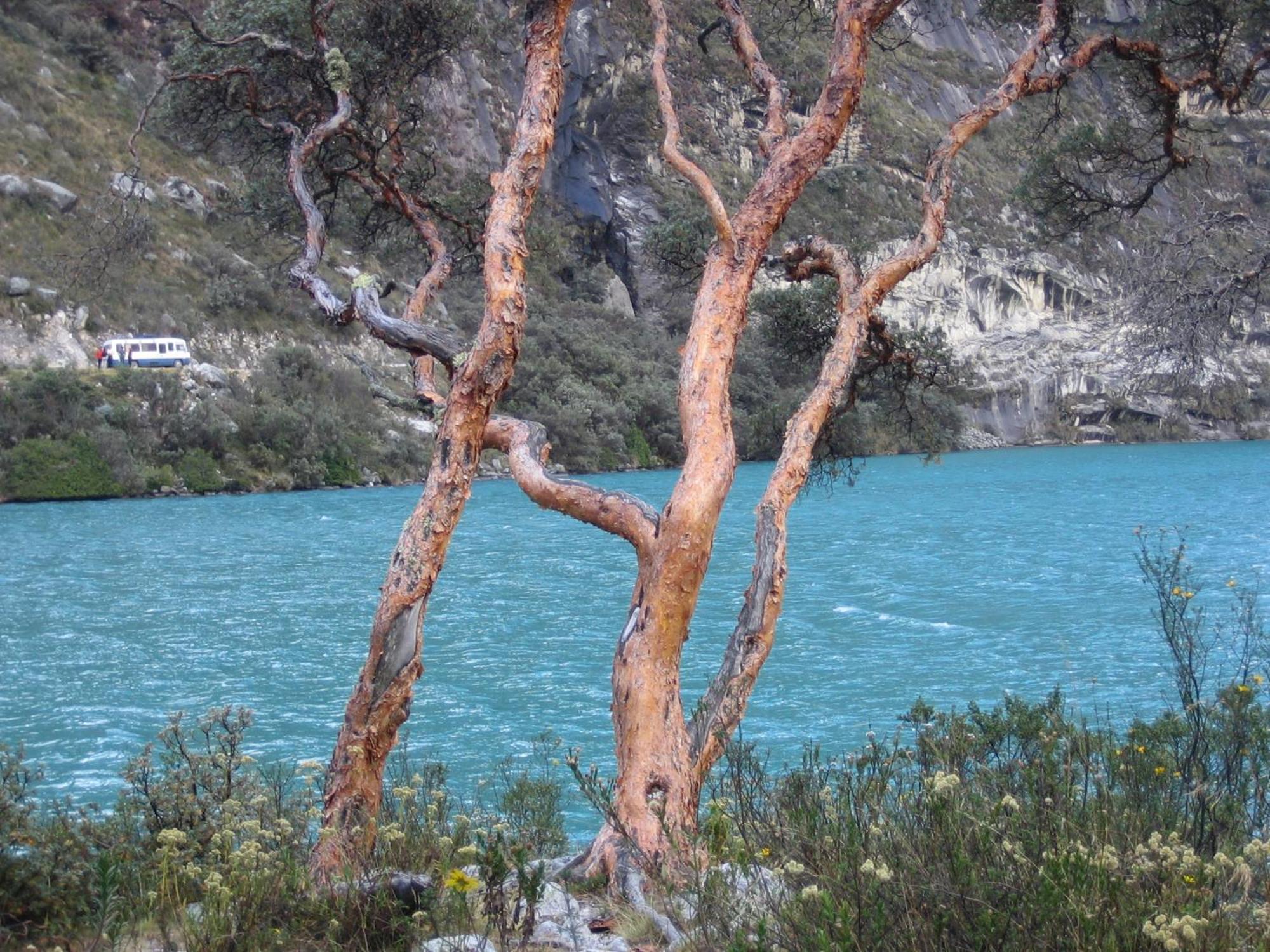 Amazing Huaraz Bed & Breakfast Exterior photo